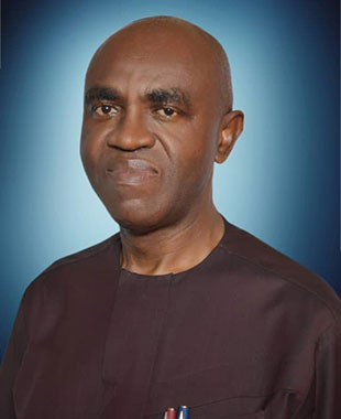 PROF. EMEKA JUDE OKEREKE